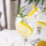 Galaretki z Gin Tonic i Lemon z termomiksem
