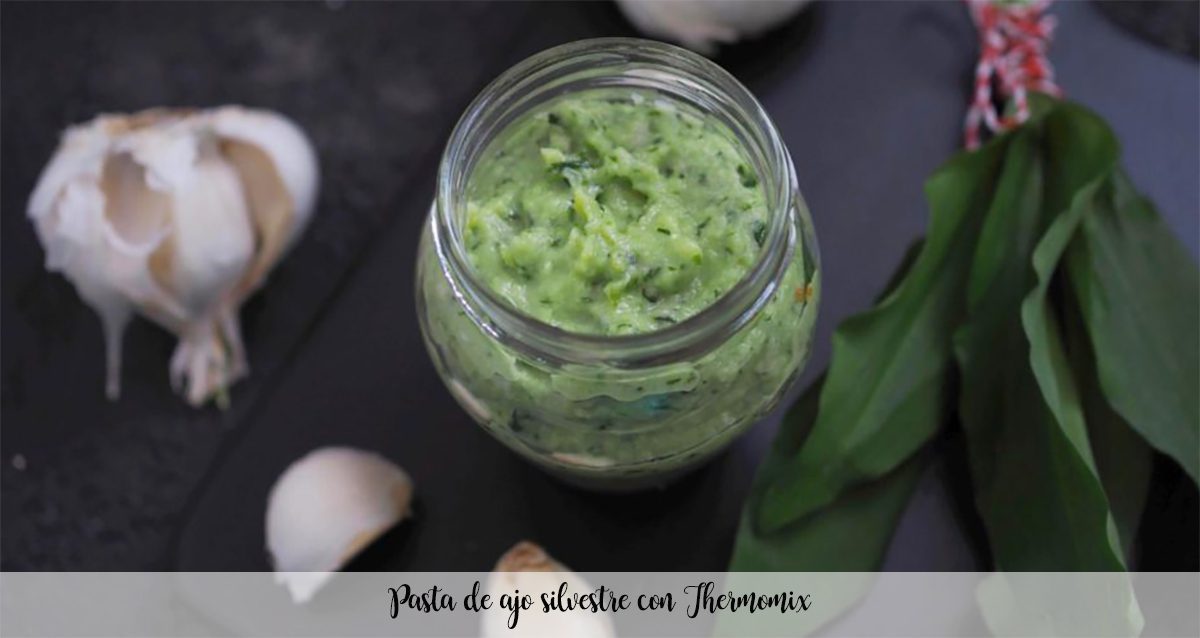 Pasta z czosnku niedźwiedziego z Thermomixem