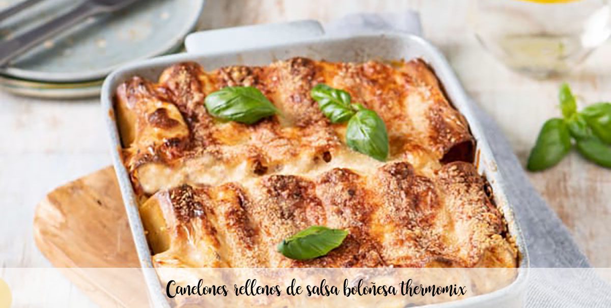 Cannelloni nadziewane termomiksem z sosem bolońskim