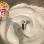 Lody MCFlurry z herbatnikami Lotus przy użyciu Thermomixa - nowość od McDonald's