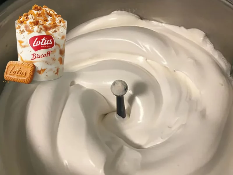 Lody MCFlurry z herbatnikami Lotus przy użyciu Thermomixa - nowość od McDonald's